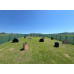 Paintball war - Full